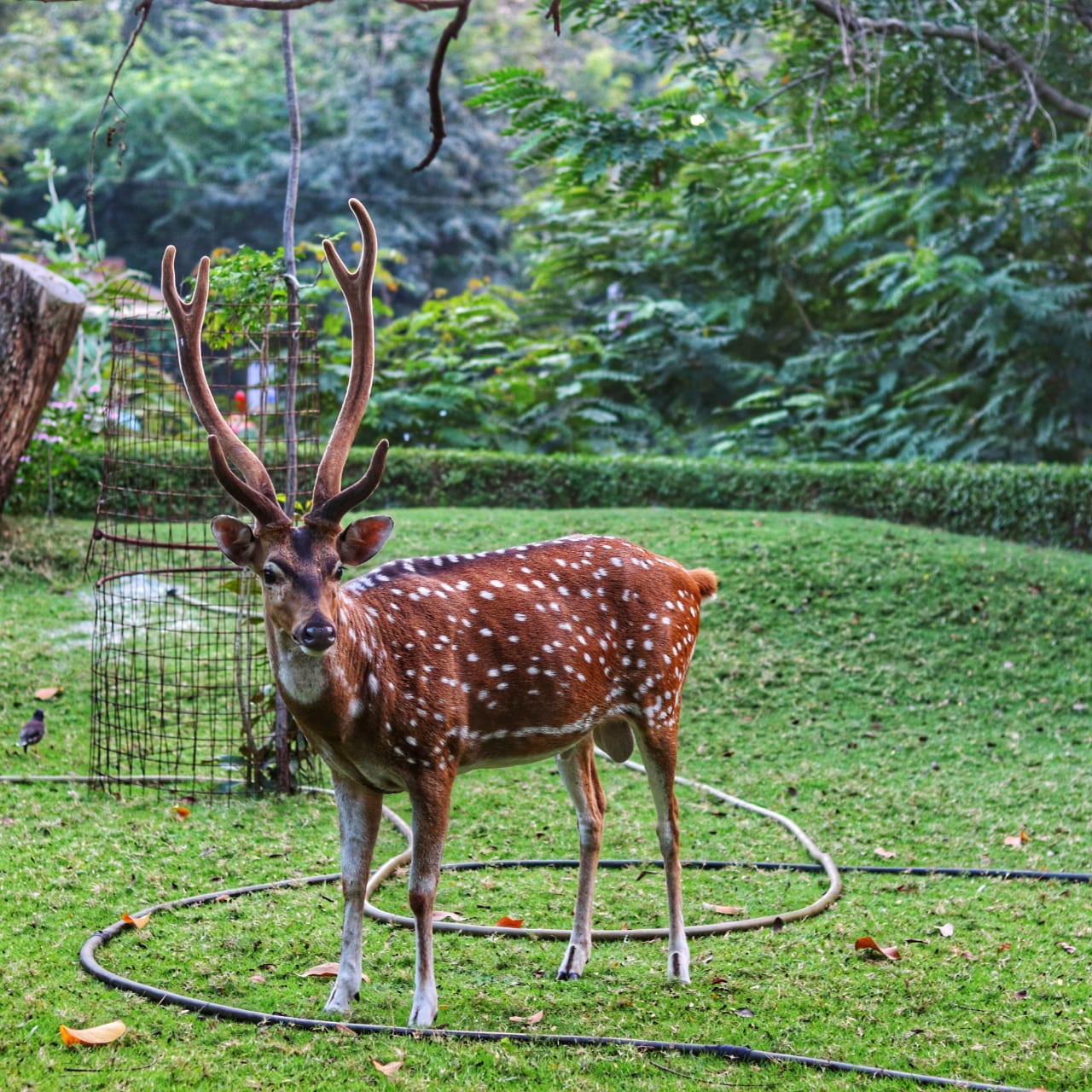 Laboratory setup slide
